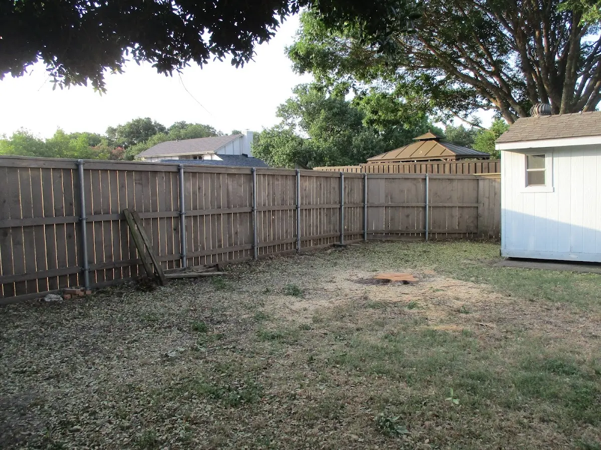 Cleared yard after professional tree removal in Sweet Valley